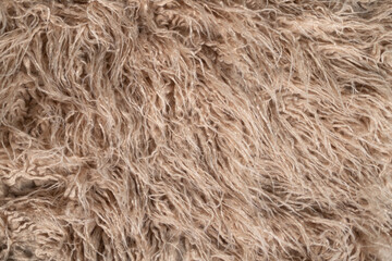 straw beige hair texture