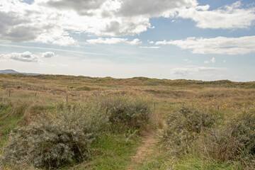 Sand dunes in the summertime.
