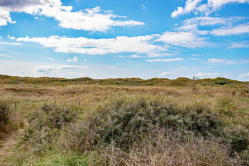 Fototapeta premium Sand dunes in the summertime.