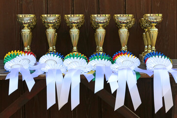  Pile of sport trophies and badges rosettes for the winners on show jumping competition