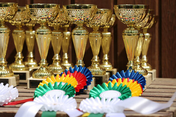  Pile of sport trophies and badges rosettes for the winners on show jumping competition