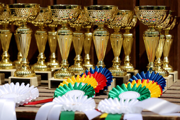  Pile of sport trophies and badges rosettes for the winners on show jumping competition