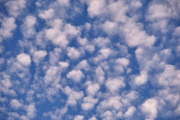 Bright landscape of white puffy clouds spread on blue clear sky