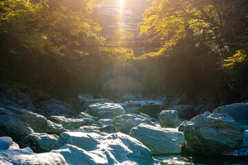 木漏れ日が美しいかずら橋　徳島