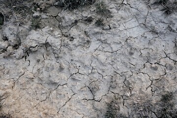 Arid lands. Thirst.