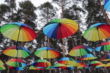 Fototapeta na wymiar flying airy colorful umbrellas against the backdrop of a winter pine forest.