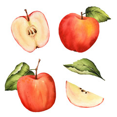 Watercolor red apple with green leaves, half, slice. Isolated. Food illustration for thanksgiving and harvest day, scrapbooking. Hand painted clipart.