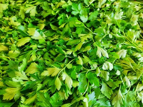 Parsley In The Greengrocer Aisle.