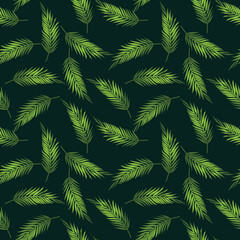 Seamless pattern with the image of palm leaves on a dark green background. Decor with a tropical print depicting an exotic plant.