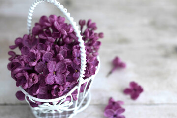 Obraz na płótnie Canvas Branches of blooming purple lilacs in a wicker basket on a light wooden background, in natural light. Homey cozy simple decor. View from above