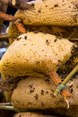 Street food that sells honeycomb that has a sweet and aromatic taste. Delicious, good taste and healthy