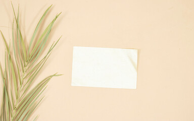 Feminine wedding stationery mock-up, desk scene. Blank greeting card and green palm leaf on pink  background. Tropical summer styled photo, web banner