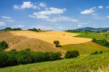 Fototapeta na wymiar Landscape in Campobasso province, Molise, Italy