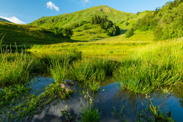 Lake melting glacier. Mountain clear water green fields. Tall grass growing.