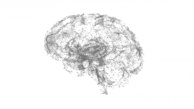Artificial Intelligence - Building Neural Network - Net shaped brain on white background 4K seamless loop