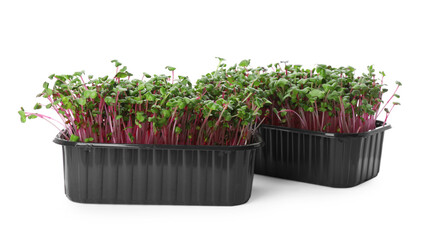 Fresh radish microgreens in plastic containers on white background