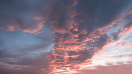 Fototapeta premium fleecy sunset cloud formation pink and grey, in the evening