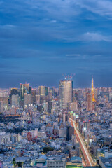 Fototapeta na wymiar 東京都渋谷区の高層ビルから見た夜の東京の都市景観