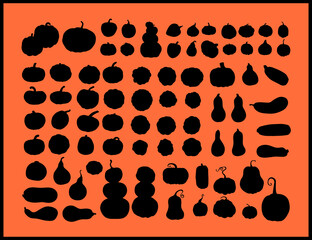 Set of 77 pumpkin silhouettes icon on a black background. А great set for your design