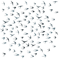 Flying martlet birds silhouettes vector illustration. Migratory martlets bevy isolated on white.