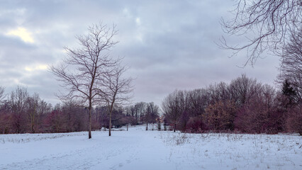Snowy landscape in the park with bald trees and cloudy sky