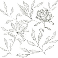 Floral pattern. Sketch of magnolia 