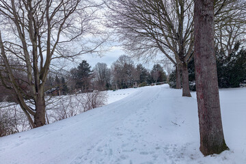 Naklejka premium Snowy alley in the park with bald trees and cloudy sky