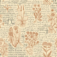 Seamless pattern with hand-drawn medicinal herbs and handwritten text Lorem Ipsum on a beige backdrop. Vector background on the theme of herbal medicine. Retro wallpaper, wrapping paper, fabric design