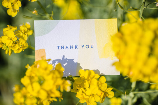 菜の花と感謝を伝えるイメージ素材