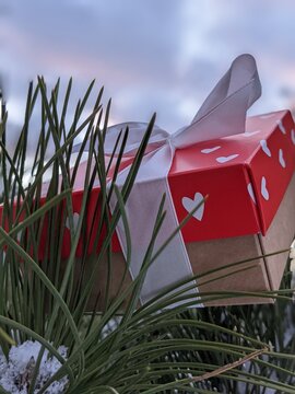 craft red white gift boxes with hearts to st valentines day  on the pine tree	