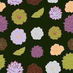 Echeveria succulents seamless pattern