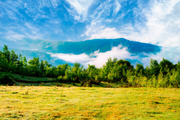 glade covered with grass near the trees on a background of mountains in the fog in the morning in summer with a beautiful blue sky with clouds.