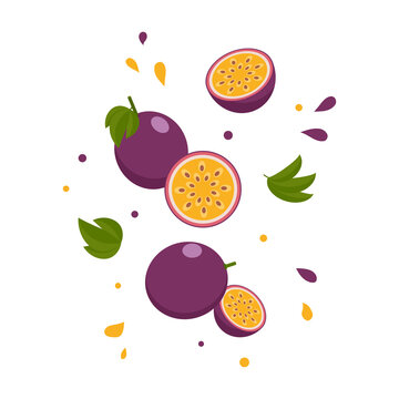 levitating passion fruit, vector illustration.