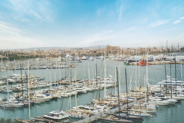 amazing aerial view of the harbor and cathedral of Palma de Mallorca, Spa