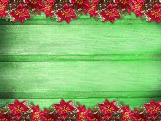 Winter wooden green mint nature background with poinsettia two sides. Texture of painted wood horizontal boards. Christmas, New Year card with copy space.
