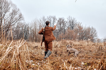 attentive gray hunter dog leads owner man to the side, directs. in countryside nature, rural place....