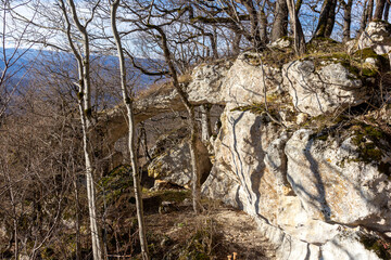 Winter mountain forest located on the ridge of the tourist route.+