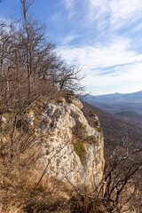Fototapeta premium Winter mountain forest located on the ridge of the tourist route.+