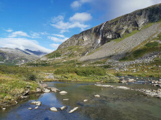 Wunderschöne Landschaft in Norwegen. Ein Wasserfall eine Felswand, ein Fluss und sehr viele Heidelbeeren.