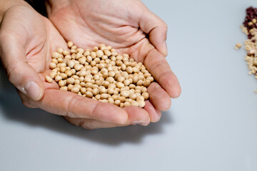 hands holding various types of cereals and legumes