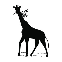 Giraffe, silhouette. Vector stock illustration eps10. Isolate on white background, outline, hand drawing.