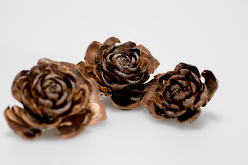 Hat of the cedar pine cone