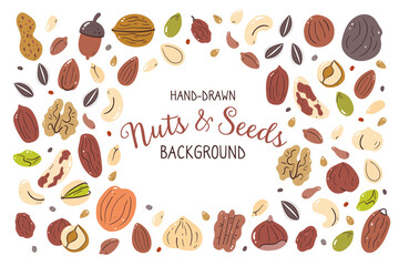 Nuts and seeds background. Food ingredients for cooking illustration. Isolated colorful hand-drawn icons on white background. Vector illustration.
