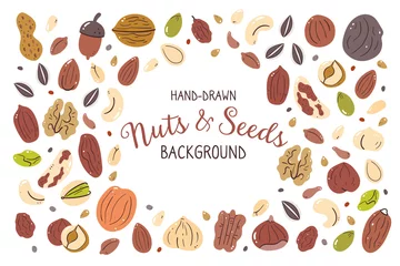 Fotobehang Nuts and seeds background. Food ingredients for cooking illustration. Isolated colorful hand-drawn icons on white background. Vector illustration. © insemar