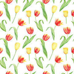Watercolor hand drawn seamless floral pattern. Yellow and red tulips, flowers on white background. 