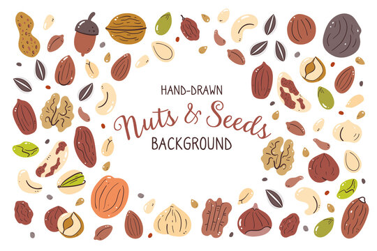 Nuts and seeds background. Food ingredients for cooking illustration. Isolated colorful hand-drawn icons on white background. Vector illustration.
