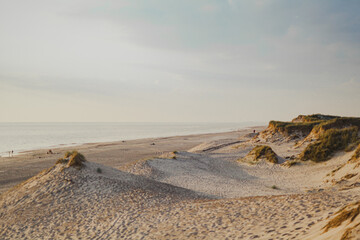 Dunes and Beach on Ocean Background