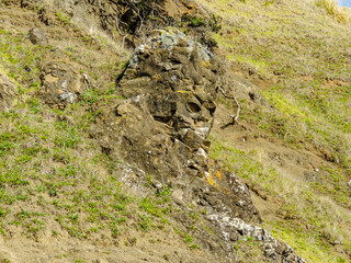 Face in a rock on a hillside. Auckland, New Zealand