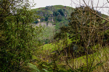 Views from the roadside of the North Island. New Zealand