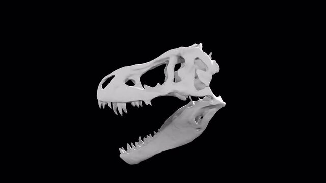 Dinosaur Skull Sculpture Glitch Rotation Loop Animation 4K UHD on Transparetn Background